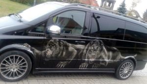 Cars_Leopard